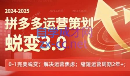 大力老师·2024拼多多运营策略蜕变3.0-kf网创