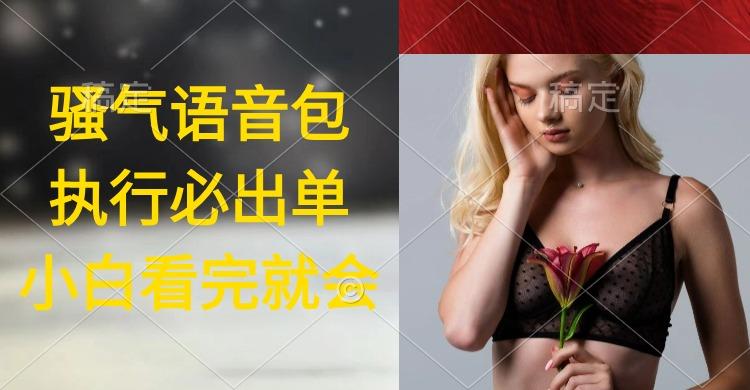 (9589期)执行就出单，日入2000+，超火骚气语音包，小白看完课程就能马上实操-kf网创