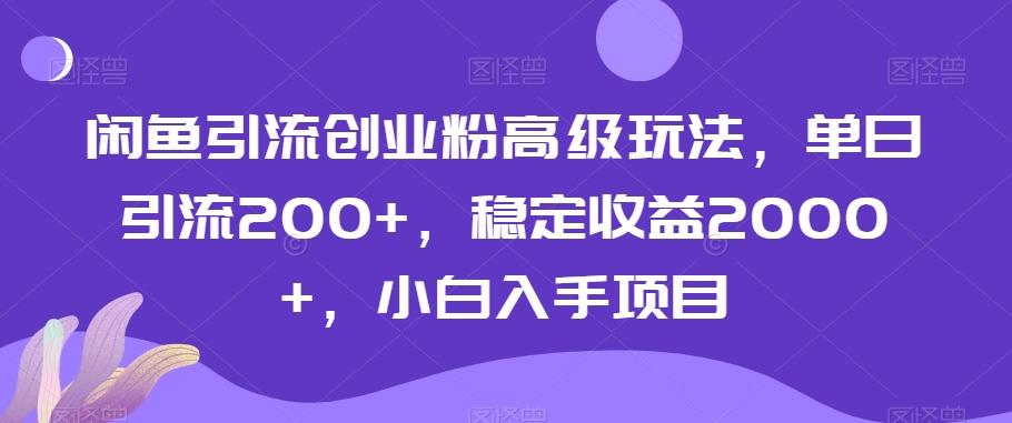 闲鱼引流创业粉高级玩法，单日引流200+，稳定收益2000+，小白入手项目-kf网创