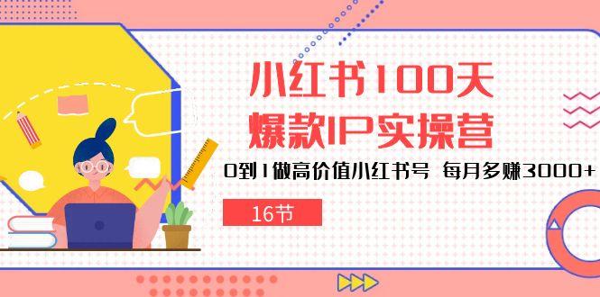 小红书100天-爆款IP实操营，0到1做高价值小红书号 每月多赚3000+(16节-kf网创