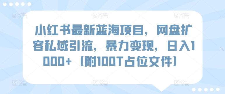 小红书最新蓝海项目，网盘扩容私域引流，暴力变现，日入1000+(附100T占位文件)【揭秘】-kf网创