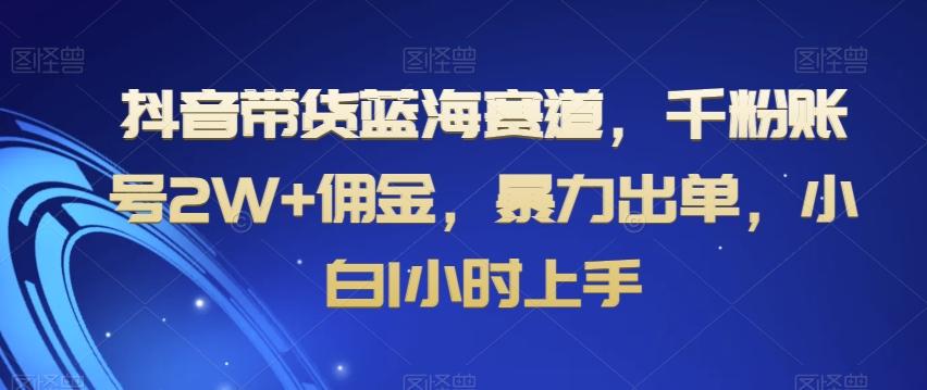 抖音带货蓝海赛道，千粉账号2W+佣金，暴力出单，小白1小时上手【揭秘】-kf网创