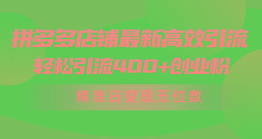 (10041期)拼多多店铺最新高效引流术，轻松引流400+创业粉，精准日变现五位数！-kf网创