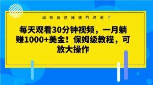 每天观看30分钟视频，一月躺赚1000+美金！保姆级教程，可放大操作【揭秘】-kf网创