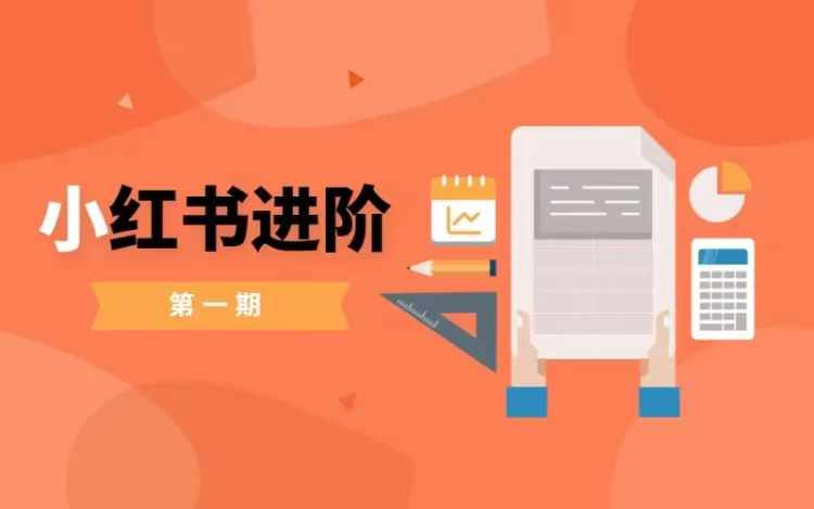 小红书进阶篇，零基础小白实战课，普通人变现的课程-kf网创