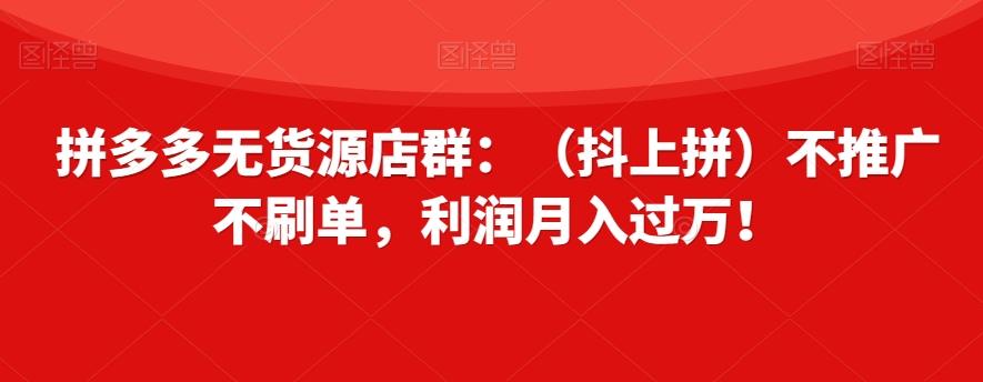 拼多多无货源店群：（抖上拼）不推广不刷单，利润月入过万！【揭秘】-kf网创