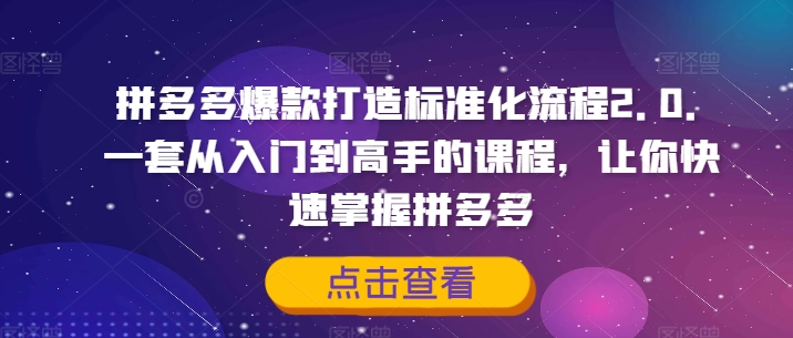 拼多多爆款打造标准化流程2.0，一套从入门到高手的课程，让你快速掌握拼多多-kf网创
