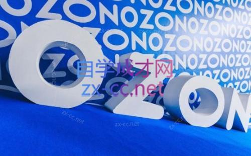 森哥·出海俄罗斯电商实操(2024)-kf网创