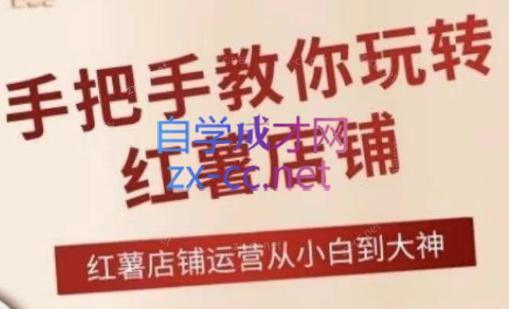 海燕老师·2024手把手教你玩转红薯店铺-kf网创