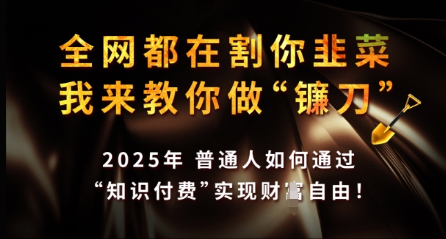 全网都在割你韭菜，我来教你做镰刀，2025年普通人如何通过 知识付费 实现财F自由【揭秘】-kf网创