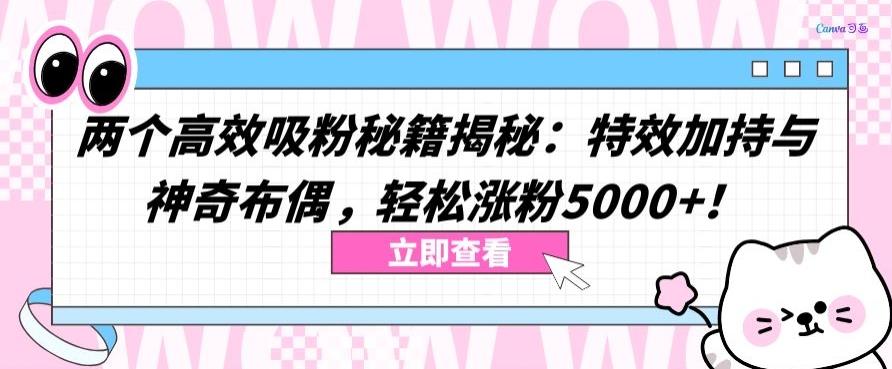 两个高效吸粉秘籍揭秘：特效加持与神奇布偶，轻松涨粉5000+【揭秘】-kf网创