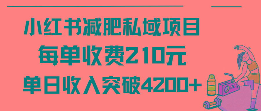 (9466期)小红书减肥私域项目每单收费210元单日成交20单，最高日入4200+-kf网创