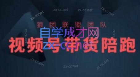 狼团联盟·2024视频号带货-kf网创