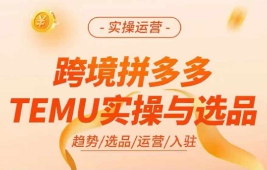 跨境拼多多TEMU实操与选品，多多temu跨境选品运营实操-kf网创