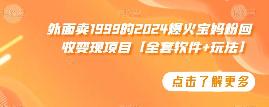 外面卖1999的2024爆火宝妈粉回收变现项目【全套软件+玩法】【揭秘】-kf网创