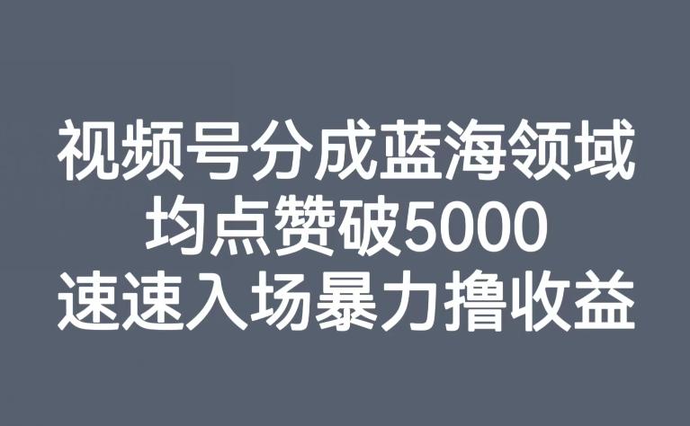 视频号分成蓝海领域，均点赞破5000，速速入场暴力撸收益-kf网创
