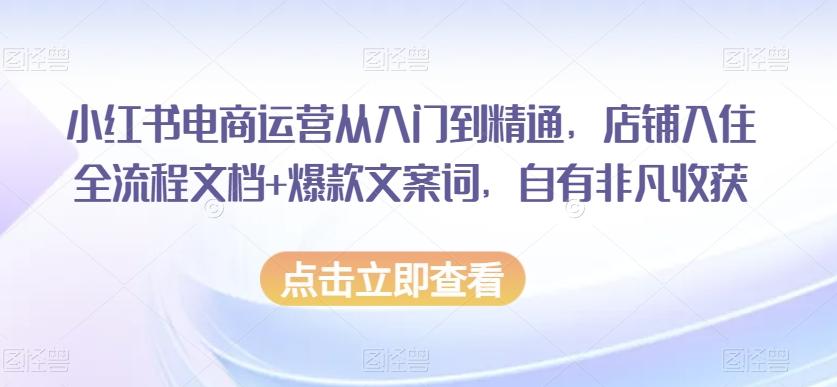 小红书电商运营从入门到精通，店铺入住全流程文档+爆款文案词，自有非凡收获-kf网创
