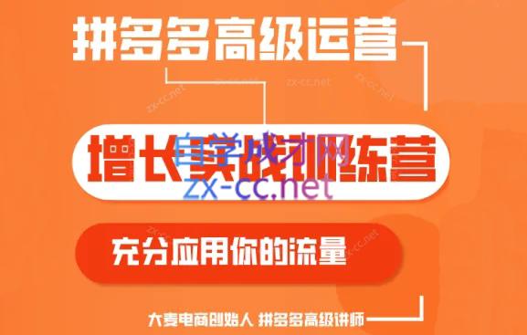 大麦老师·拼多多单品爆款打造课程(更新6月)-kf网创