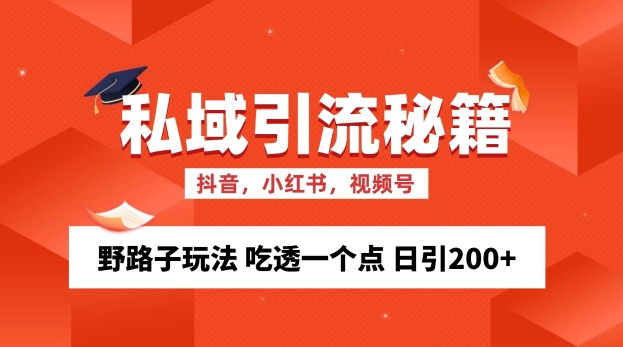 私域流量的精准化获客方法 野路子玩法 吃透一个点 日引200+ 【揭秘】-kf网创