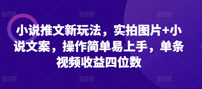 小说推文新玩法，实拍图片+小说文案，操作简单易上手，单条视频收益四位数-kf网创
