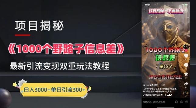 一千个野路子信息差最新玩法教程-变现+引流的玩法具体拆解【揭秘】-kf网创