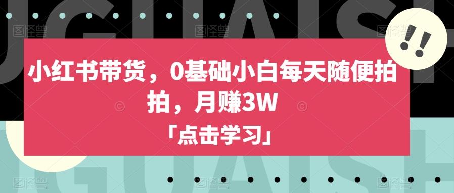 小红书带货，0基础小白每天随便拍拍，月赚3W【揭秘】-kf网创