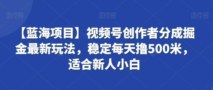 【蓝海项目】视频号创作者分成掘金最新玩法，稳定每天撸500米，适合新人小白【揭秘】-kf网创