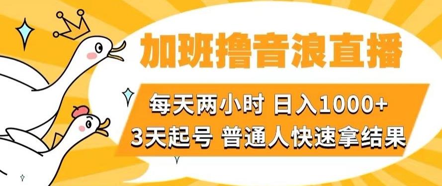 加班撸音浪直播，每天两小时，日入1000+，直播话术才3句，3天起号，普通人快速拿结果【揭秘】-kf网创