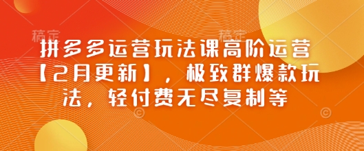 拼多多运营玩法课高阶运营【2月更新】，极致群爆款玩法，轻付费无尽复制等-kf网创