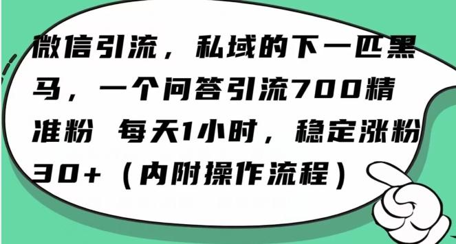 怎么搞精准创业粉？微信新赛道，每天一小时，利用Ai一个问答日引100精准粉-kf网创