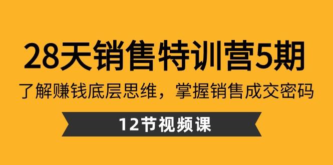28天销售特训营5期：了解赚钱底层思维，掌握销售成交密码（12节课）-kf网创