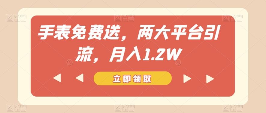 手表免费送，两大平台引流，月入1.2W【揭秘】-kf网创