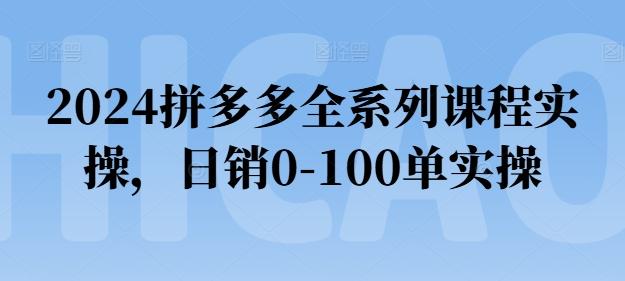 2024拼多多全系列课程实操，日销0-100单实操【必看】-kf网创