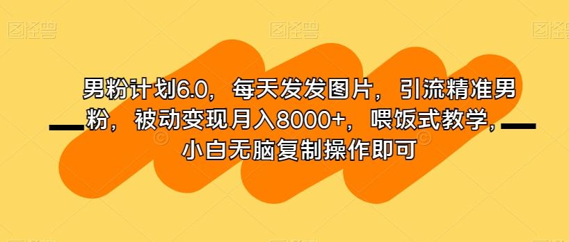 男粉计划6.0，每天发发图片，引流精准男粉，被动变现月入8000+，喂饭式教学，小白无脑复制操作即可-kf网创