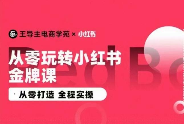 王导主·小红书电商运营实操课，​从零打造  全程实操-kf网创