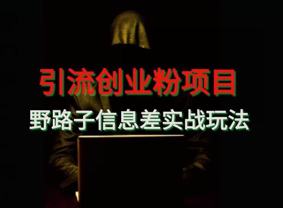 【引流创业粉】野路子信息差玩法实战教学-kf网创