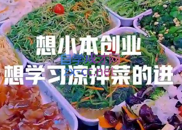 李记·精品凉拌菜系列热卤系列教程-kf网创