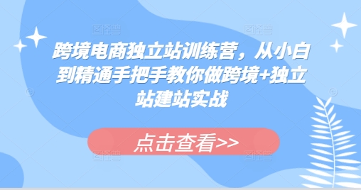 跨境电商独立站训练营，从小白到精通手把手教你做跨境+独立站建站实战-kf网创
