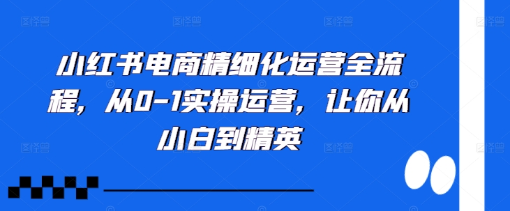 小红书电商精细化运营全流程，从0-1实操运营，让你从小白到精英-kf网创