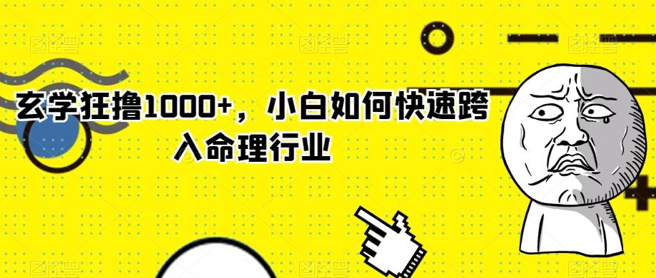 玄学狂撸1000+，小白如何快速跨入命理行业-kf网创