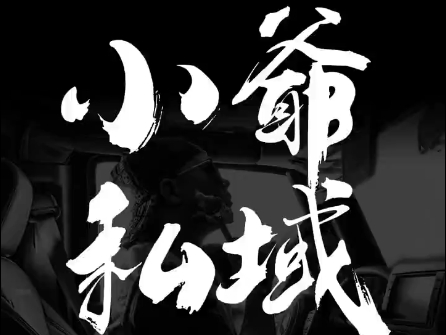 小爷·私域项目操盘手-kf网创