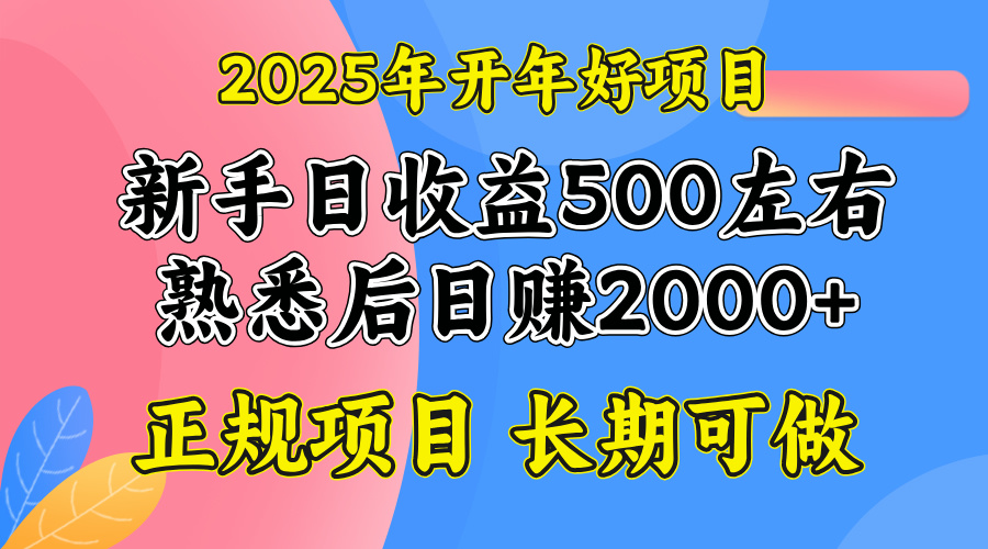 2025开年好项目，单号日收益2000左右-kf网创