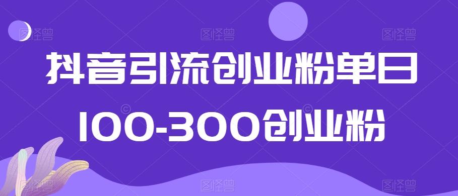 抖音引流创业粉单日100-300创业粉【揭秘】-kf网创