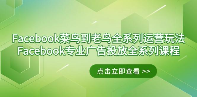 Facebook-菜鸟到老鸟全系列运营玩法+Facebook-专业广告投放全系列课程-kf网创