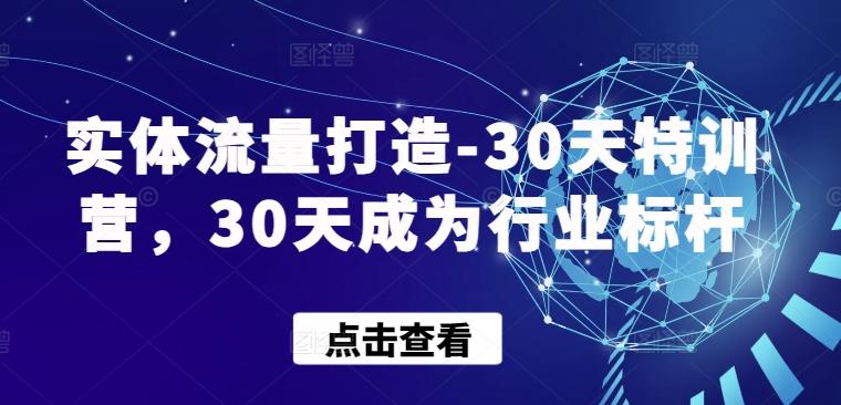 实体流量打造-30天特训营，30天成为行业标杆-kf网创