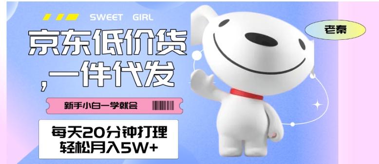 每天20分钟打理京东低价货，一件代发-轻松月入5W＋-kf网创