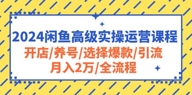 2024闲鱼高级实操运营课程：开店/养号/选择爆款/引流/月入2万/全流程-kf网创
