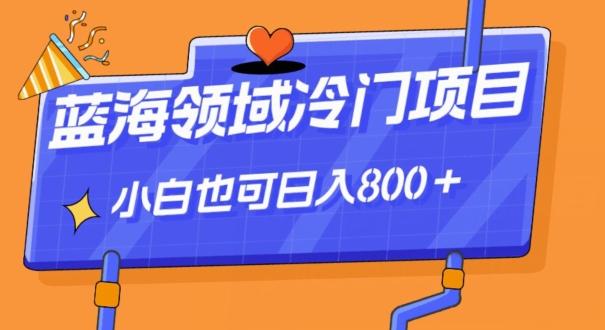 蓝海领域冷门赛道，一单39.9，日入800＋-kf网创