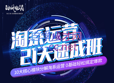 淘系运营21天速成班(更新7月)-kf网创