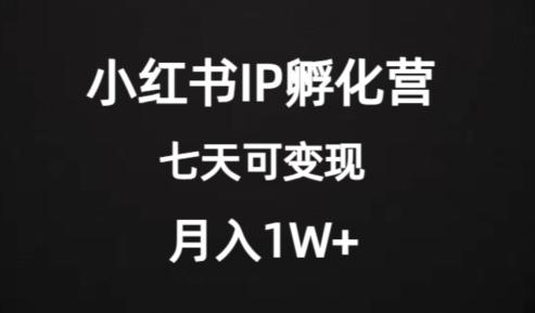 价值2000+的小红书IP孵化营项目，超级大蓝海，七天即可开始变现，稳定月入1W+-kf网创